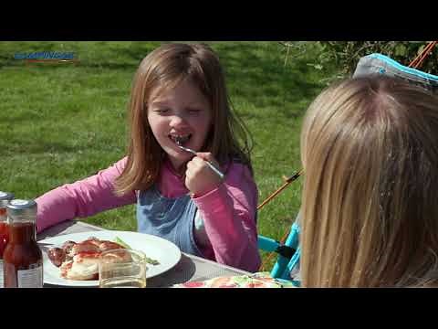 Campingaz Party Grill® 400CV - portable camping bbq