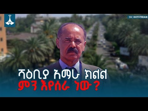 ሻቢያ አማራ ክልል ምን እየሰራ ነው? | Eritrea | Amhara Region | Eritrea Behind The Crisis | EBC | EBCDOTSTREAM
