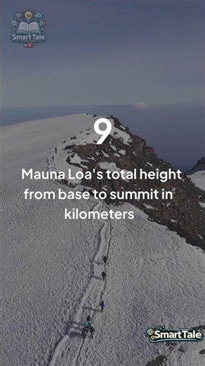 The Largest Volcano on Earth Will Shock You! 😱 #Shorts