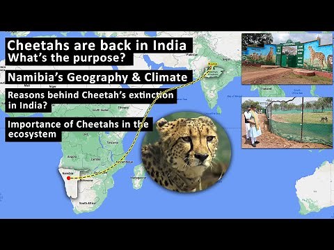 Cheetahs return to India Kuno national park MP | Namibia's geography climate | Environment Ecology