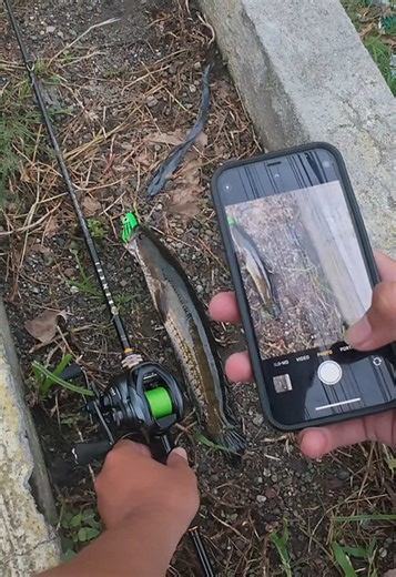 Fishing Adventures in the Philippines: Techniques & Tips