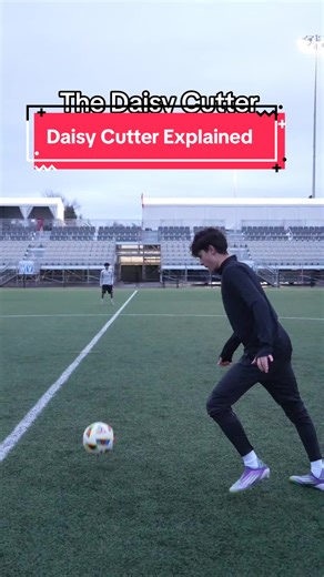 Understanding the Daisy Cutter: Meaning and History