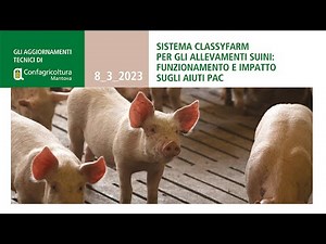 Sistema Classyfarm per gli allevamenti suini