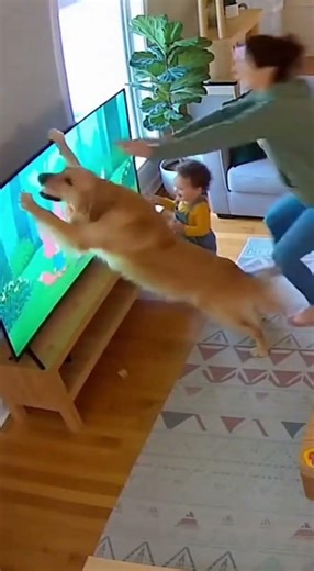 Everyone loves their child more than anything else...🥰👏 #baby #shorts #love #funny