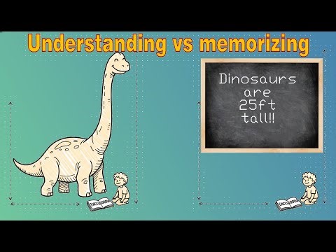 Understanding vs Memorizing: The power of knowing why things work.