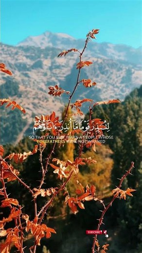 Surah Yaseen Beautiful Recitation | Peaceful Quran #Shorts