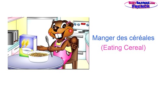 28.合集French Level 1 DVD - 54 Minutes, Learn to Speak Français, Easy French Lesso