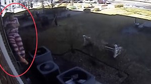 Handcuffed Inmate Makes Brazen Escape Attempt Out Court Window, Videos Show