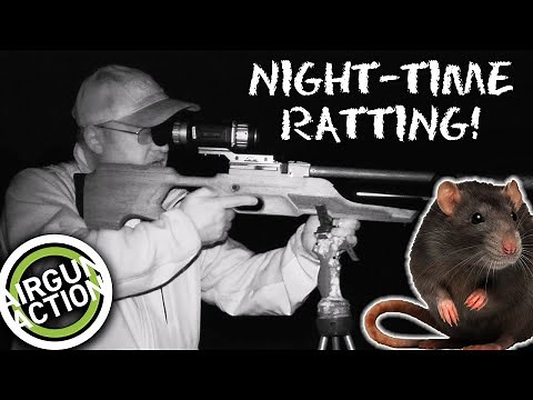 Airgun Action | Night rat shooting with thermal | BRK Brocock Pathfinder XR airgun review