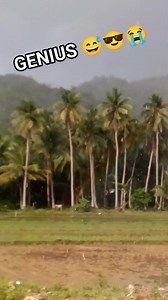 12K views · 144 reactions | Calculator ang utak | Vincent Go | Facebook