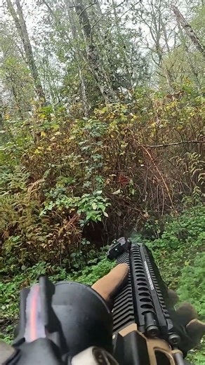 Almost had two, settle for one #airsoft