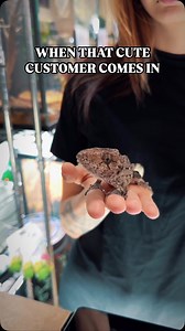 6K views · 206 reactions | What can I say, I’m a sucker for cute eyes殺殺 . . . . #reptiles #lizard #herpetology | LLLReptile & Supply | Facebook