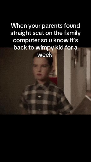 Navigating Parental Discoveries on Family Computers