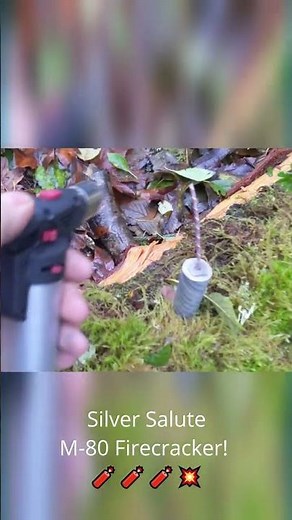 Silver salute M-80 firecracker!