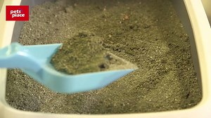 2.1K views · 11 comments | Plast jouw #kat naast de #kattenbak? Dit...