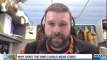 4.7K views · 29 reactions | Ever wondered what it would be like to cuddle a bear cub? Well, it's part of the job of DNR researchers when they go out in the field. Hear from one about his experience with the animals. FULL STORY: bit.ly/3U3xq1l | WOOD TV8 | Facebook