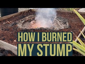 36’’ Stump Removal - Complete Burn 🔥 No gas or oil.