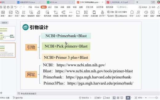 ★qPCR引物设计★NCBI引物设计|Blast特异性验证|Primer bank|Primer3Plus全面√