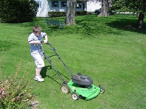 How to Start a Lawn boy Self-Propelled Lawnmower