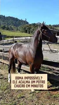 Reportagem completa no link! #valeagricola