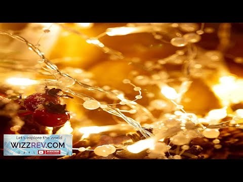 Garvee Led Beads String Lights 6.5 ft 20 LED Lights Battery Powered