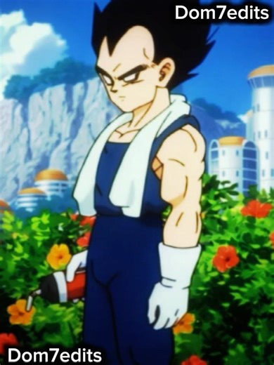 Sad Vegeta edit #sad #vegeta #edit #anime #idk