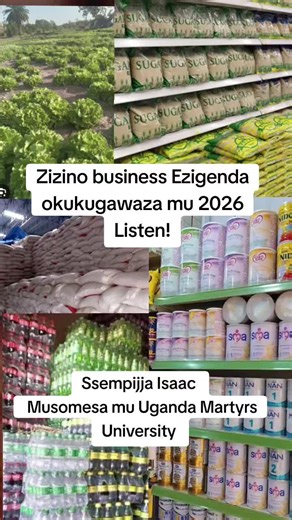 Innovative Business Ideas for Uganda in 2026