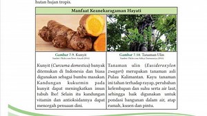Manfaat Keanekaragaman Hayati: Bidang Ekologi, Farmasi, Ilmu Pengetahuan, dan Pangan - Tribunnews.com