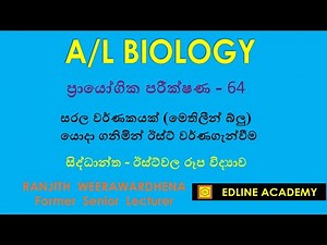 Microbiology Practical No 18 - Staining of Yeast using Methylene Blue A/L l Biology Practicals