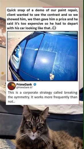 He really chose the half baked look 🚗 | funny memes | relatable American memes | dank memes