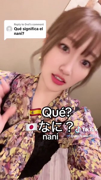 Understanding the Meaning of 'Nani' in Japanese