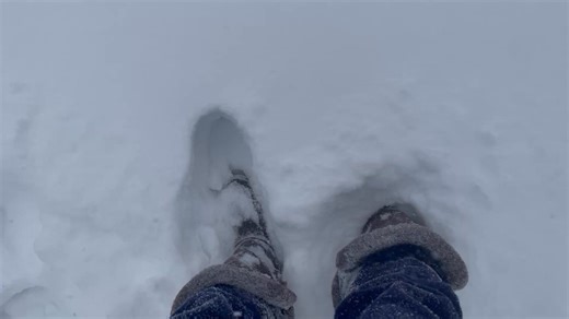 Who else is measuring snow in feet today? ❄️📏 It’s a true winter wonderland across Venango County right now. How much snow do you have in your neck of the woods? Drop a photo or your location in the comments! ⬇️ #ExploreVenango #VenangoCounty #PAWinter #SnowDay #WinterStorm | exploreVenango.com
