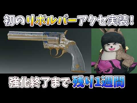 (PSO2NGS) The First Revolver Accessory Has Arrived? 5/20 Update Summary