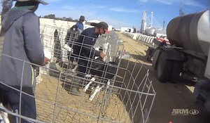 One of largest U.S. dairy farms exposed for animal abuses after horrific undercover video goes viral