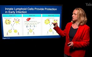 3.1-Intro-Innate-Immunity