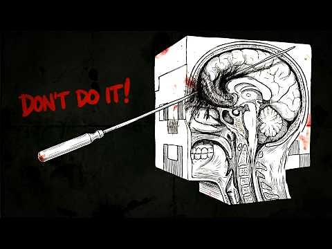 I Got A Lobotomy In Minecraft...