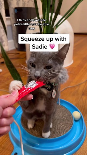 Saturday Squeeze Up with Sadie