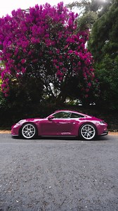 Hard to say what’s more stunning—the Ruby Star Neo paint or the trees around it. 2023 Porsche 911 GT3 Touring - CXX interior in Chalk - 7k miles - Manual transmission - PCCB in Black - Front lift & Sport Exhaust Available now — link in bio! 🎥 @gerbmarketing | Grand Prix Motors Inc