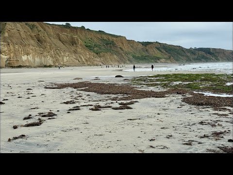 First Stream of 2026 Walking Visuals 4K is live!