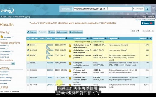 蛋白数据库uniprot Retrieve ID mapping intro