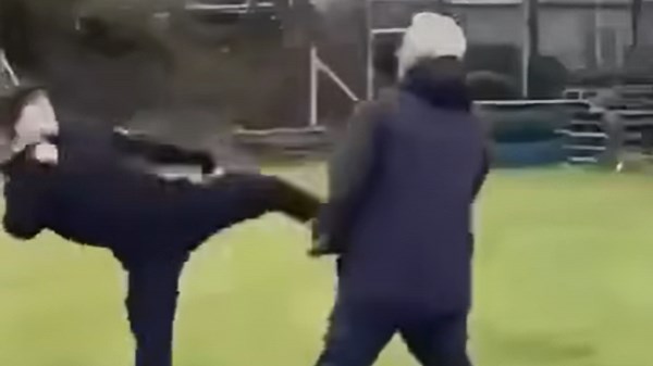 Footage shows thug attack elderly dog walker in Scots park as cops launch probe