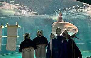 Japon : Un aquarium crée de faux visiteurs pour remonter le moral d’un poisson-lune dépressif