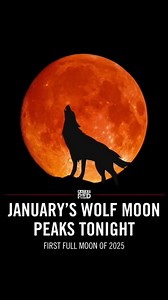 11K views · 602 reactions | Full Wolf Moon. This full Moon appeared when wolves howled in hunger outside the villages. It is also known as the Old Moon. To some Native American tribes, this was the Snow Moon, but most applied that name to the next full Moon, in February. | Guardians Of The Wolves | Facebook