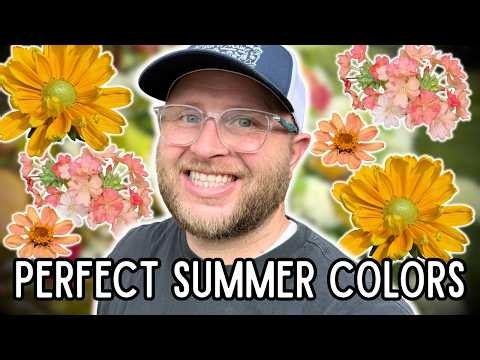 The Perfect Summer Color Palette | Planting Around My Flamethrower Redbud