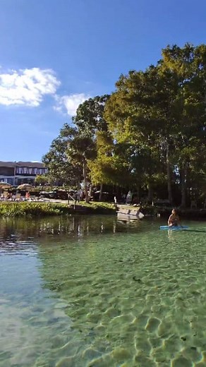 One of Florida's top destinations for kayaking crystal-clear waters ✨️ #fbreels #fyp #November #Springs #river #fblifestyle #florida #nature | La Guera