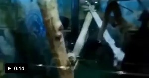 Return to Monke - Video