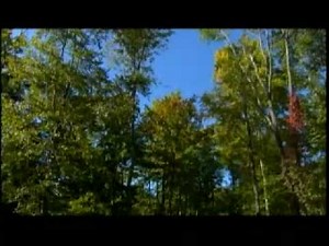 Welcome to the Cardinal Center- Ohio's Top Shooting Facility