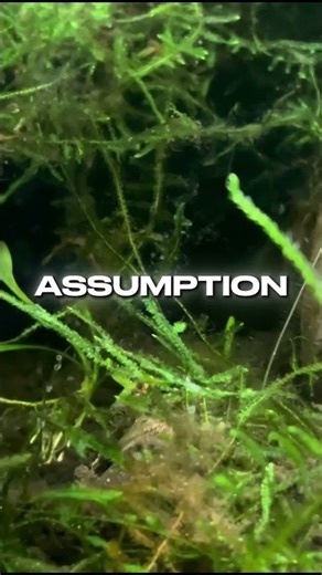 Why Stable Fish Tanks Still Collapse