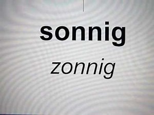 Duits voor Beginners - het weer