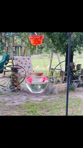 Hummingbird Facts #hummingbirdfacts #birds #hummingbird Secondhand Treasures | Secondhand Treasures